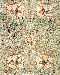 William Morris's Honeysuckle (1876) famous pattern. Original from The Smithsonian Institution. Digitally enhanced by rawpixel.