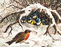 Vintage Christmas Postcard Depicting Birds in Snow (ca. 1800&ndash;1900). Original from The New York Public Library. Digitally enhanced by rawpixel.