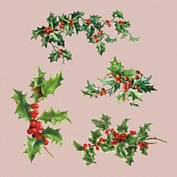 Festive holly leaves set illustration