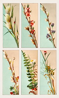 Christmas Card Depicting Plant Life (1865&ndash;1899) by <a href="https://www.rawpixel.com/search/l.%20prang?sort=curated&amp;type=all&amp;page=1">L. Prang &amp; Co</a>. Original from The New York Public Library. Digitally enhanced by rawpixel.
