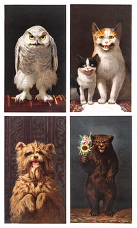 Christmas Cards Depicting Animals : Owls, Bears, Cats, and Dogs (1865&ndash;1899) by <a href="https://www.rawpixel.com/search/l.%20prang?sort=curated&amp;type=all&amp;page=1">L. Prang &amp; Co</a>. Original from The New York Public Library. Digitally enhanced by rawpixel.