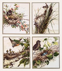 Christmas Card Depicting Birds and Nests (1865&ndash;1899) by <a href="https://www.rawpixel.com/search/l.%20prang?sort=curated&amp;type=all&amp;page=1">L. Prang &amp; Co</a>. Original from The New York Public Library. Digitally enhanced by rawpixel.