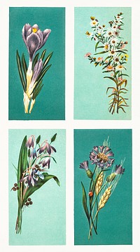 Christmas Card Depicting Flowers (1865&ndash;1899) by <a href="https://www.rawpixel.com/search/l.%20prang?sort=curated&amp;type=all&amp;page=1">L. Prang &amp; Co</a>. Original from The New York Public Library. Digitally enhanced by rawpixel.