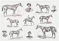 Horses Illustration (1884) by Henry Stull. Original from Library of Congress. Digitally enhanced by rawpixel.