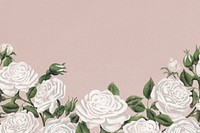 White rose border, feminine floral background