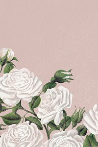 Vintage white rose border, feminine floral background