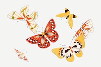 Colorful butterfly, Japanese hand drawn, vintage illustration vector