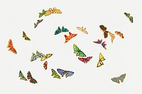 Colorful butterfly, Japanese drawing, vintage illustration psd