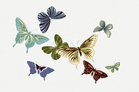 Japanese woodblock butterfly collage element, drawing illustration psd