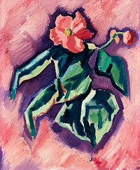 Pink Begonias (1928-1929) painting in high resolution by Marsden Hartley. Original from Smithsonian Institution. Digitally enhanced by rawpixel.