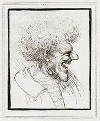 Caricature of a Man with Bushy Hair (ca. 1495) drawing in high resolution by <a href="https://www.rawpixel.com/search/Leonardo%20da%20Vinci?sort=curated&amp;page=1">Leonardo da Vinci</a>. Original from The Getty. Digitally enhanced by rawpixel.