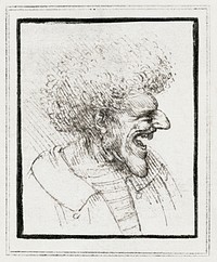 Caricature of a Man with Bushy Hair (ca. 1495) drawing in high resolution by Leonardo da Vinci. Original from The Getty. Digitally enhanced by rawpixel.