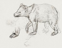 A Bear Walking (ca. 1482–1485) drawing in high resolution by Leonardo da Vinci. Original from The MET Museum. Digitally enhanced by rawpixel.