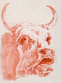 Head of a Cow (ca.1778) print in high resolution by <a href="https://www.rawpixel.com/search/Louis-Marin%20Bonnet?sort=curated&amp;page=1&amp;topic_group=_my_topics">Louis-Marin Bonnet</a>. Original from the Smithsonian Institution. Digitally enhanced by rawpixel.