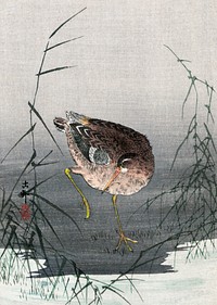 Ashi ni shigi (1877&ndash;1945) by <a href="https://www.rawpixel.com/search/Ohara%20Koson?sort=curated&amp;page=1">Ohara Koson</a>. Original from The Clark Art Institute. Digitally enhanced by rawpixel.