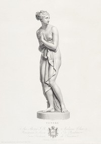 Venus, frontal view. from &quot;Oeuvre de Canova: Recueil de Statues ...&quot; (1817) by Domenico Marchetti. Original from The MET museum. Digitally enhanced by rawpixel.