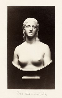 Naked woman sculpture, Bust of Eve Disconsolate (1872&ndash;1890) by Hiram Powers. Original from The Getty. Digitally enhanced by rawpixel.
