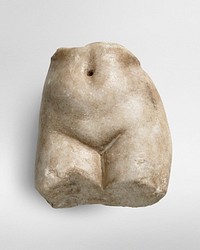 Woman nude torso fragment front view
