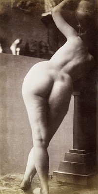 Nude photography of female butt (ca. 1903–1914). Original from The Rijksmuseum. Digitally enhanced by rawpixel.