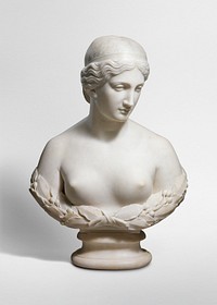 Female nude torso front view