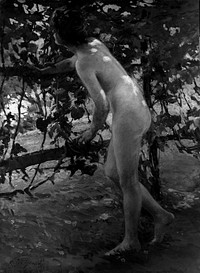 Nude photography of naked woman (between 1900 and 1920) published by Detroit Publishing Co. Original from Library of Congress. Digitally enhanced by rawpixel.