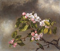 Hummingbird and Apple Blossoms (1875) in high resolution by Martin Johnson Heade. Original from The MET Museum. Digitally enhanced by rawpixel.