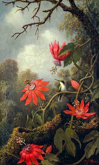 Hummingbird and Passionflowers (ca. 1875&ndash;1885) in high resolution by Martin Johnson Heade. Original from The MET Museum. Digitally enhanced by rawpixel.