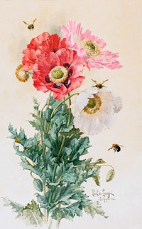 Poppies and Bees (1906) in high resolution by Paul de Longpr&eacute;. Original from the Los Angeles County Museum of Art. Digitally enhanced by rawpixel.