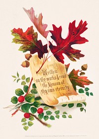 Autumn foliage, oak leaves with acorns, and a strip of birch bark on which is written a line of verse from the poem &quot;Forest Hymn&quot; by William Cullen Bryant (1874)  in high resolution. Original from The Library of Congress. Digitally enhanced by rawpixel.