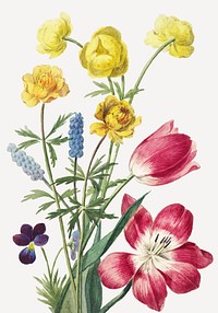 Vintage flower illustration psd, remix from artworks by Willem van Leen