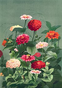 Flowers (1884) in high resolution by L. Prang &amp; Co. Original from The Library of Congress. Digitally enhanced by rawpixel.