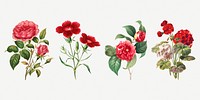 Vintage flower botanical illustration psd set