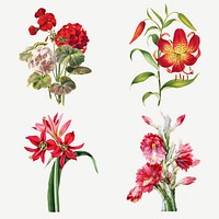 Vintage flower botanical illustration psd set