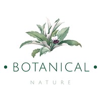 Botanical nature logo design vector | Premium Vector - rawpixel