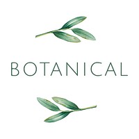 Green botanical logo design vector