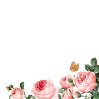 Hand drawn pink roses frame on white background vector