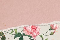 Pink rose frame design vector