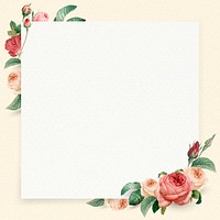 Floral square white frame vector