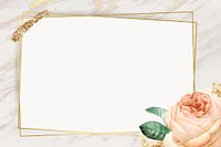 Floral rectangle golden frame vector