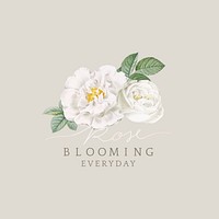 Beautiful rose blooming everyday illustration