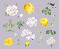Vintage colorful flowers collection illustration