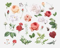 Vintage colorful flowers collection vector