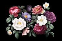 Beautiful hand drawn various roses background
