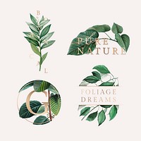 Tropical botanic logo collection vector