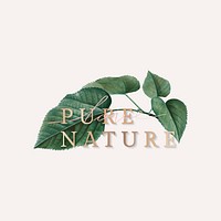 Botanical pure nature logo illustration