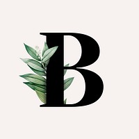 Botanical capital letter B vector