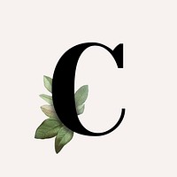 Botanical capital letter C illustration