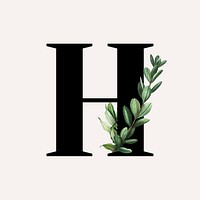 Botanical capital letter H vector