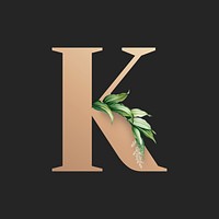 Botanical capital letter K illustration