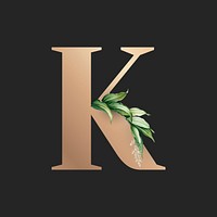 Botanical capital letter K vector